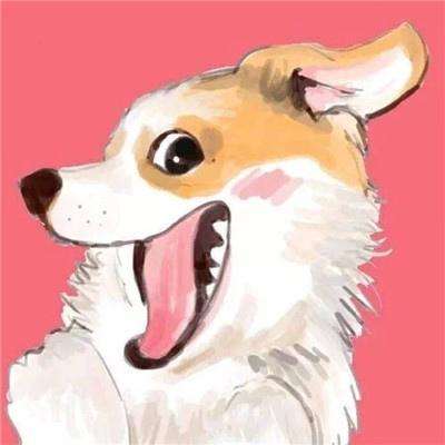 龙神之光官方下载